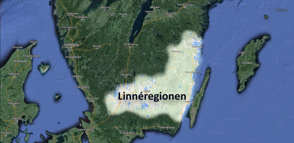 Linnéregionen